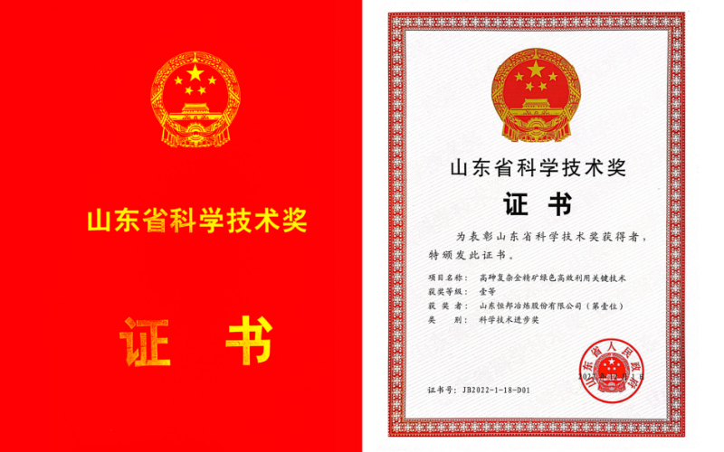 山東省科學技術獎一等獎